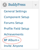 album 1 Screenshot of the BuddyPress plugin menu in WordPress showing options such as General Settings Component Setup Forums Setup Profile Field Setup Achievements BP Album+ circled in red and Invite Anyone
