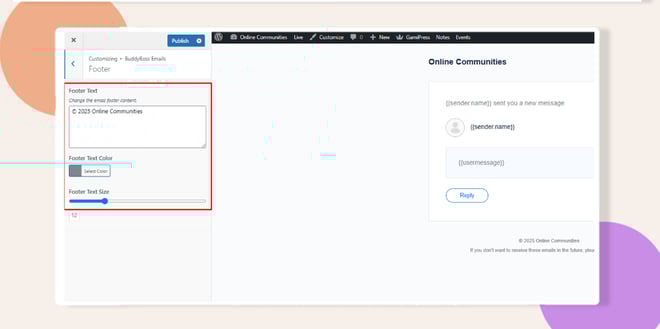 image | BuddyBoss options to customize email footer is highlighted