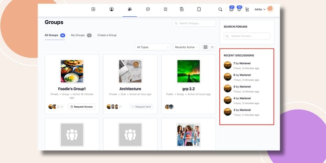 This screensho shows how the Forums Recent Topics Widget