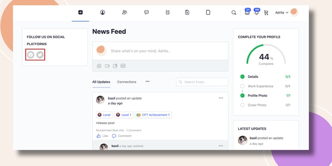 This screenshot shows how the Follow Us Widget is displayed