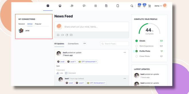 This screenshot shows how to the My Connections Widget will be displayed