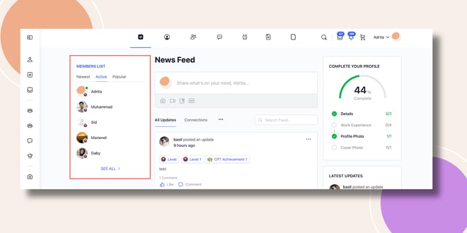 This screenshot shows how the members widget will be displayed