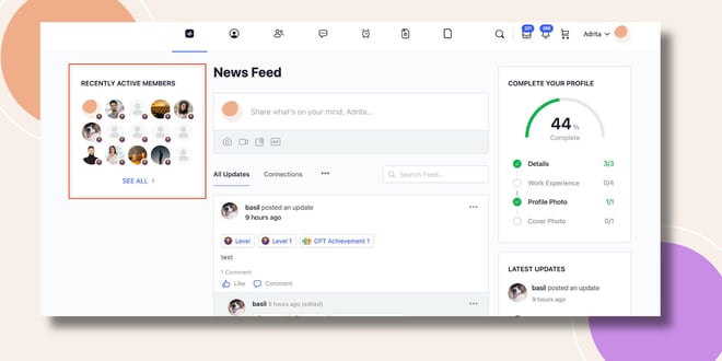 This screenshot shows how the recently active members widget can be configured