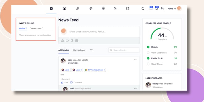 This screenshot shows how the Who's online widget will be displayed.