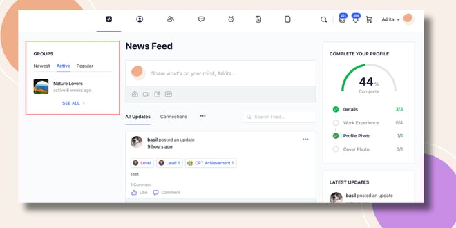 This screenshot shows how the Social Groups Widget will be displayed