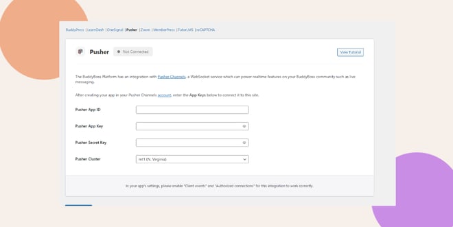 This screenshot shows what you should fill out for Pusher integration