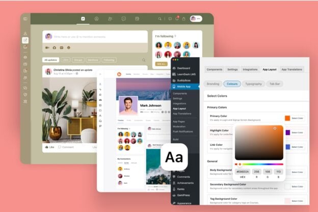 AdvancedBuddyBossCustomization624x416 | BuddyBoss Community UX Design