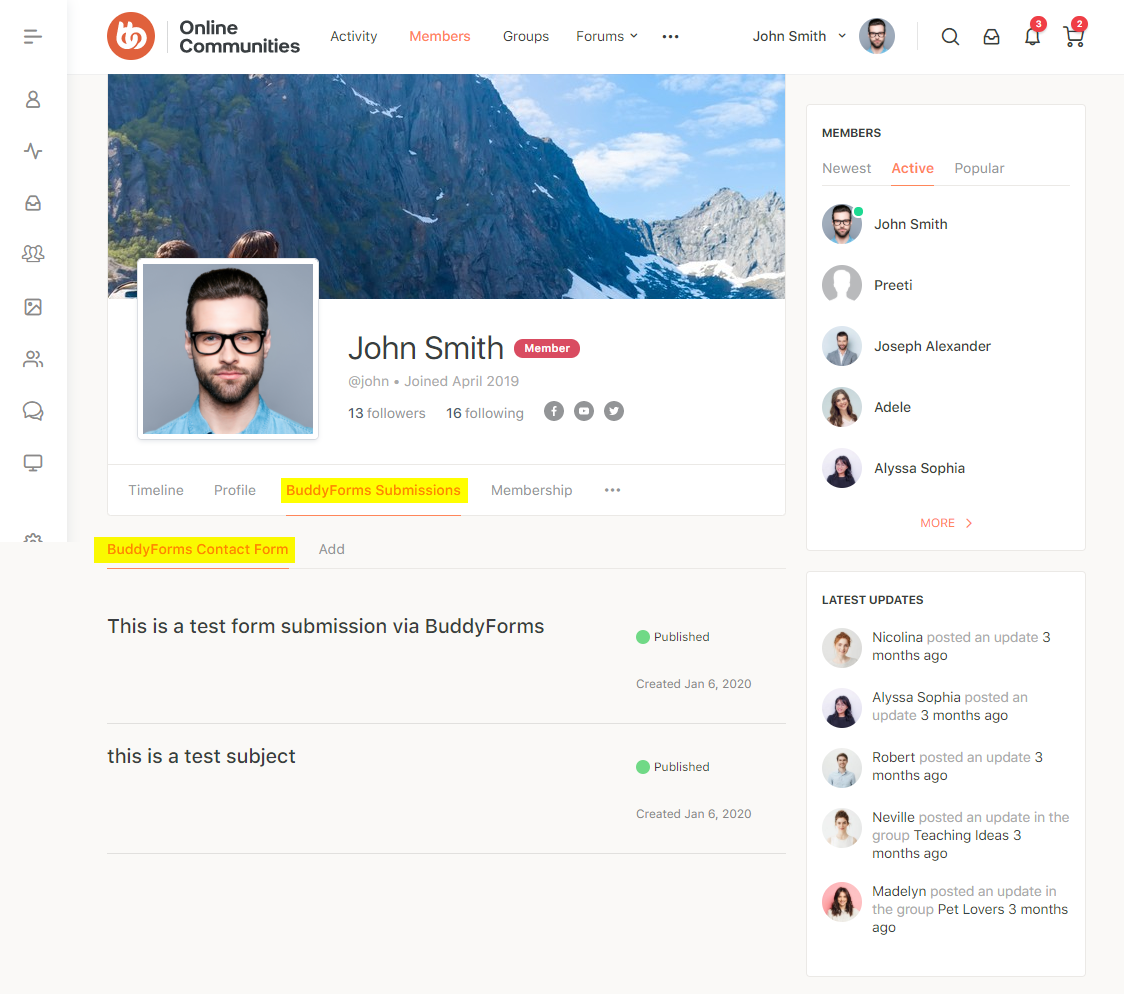 BuddyForms Members - Form submissions preview on a user's profile