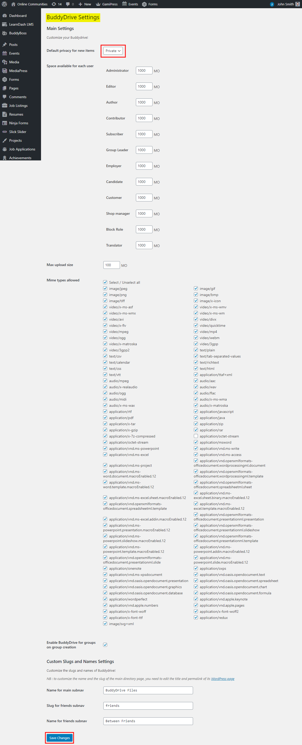 BuddyDrive - Setting up the plugin