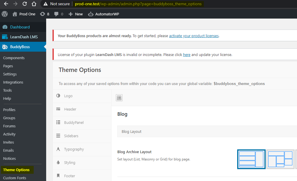 BuddyBoss Theme options on a staging or development environment