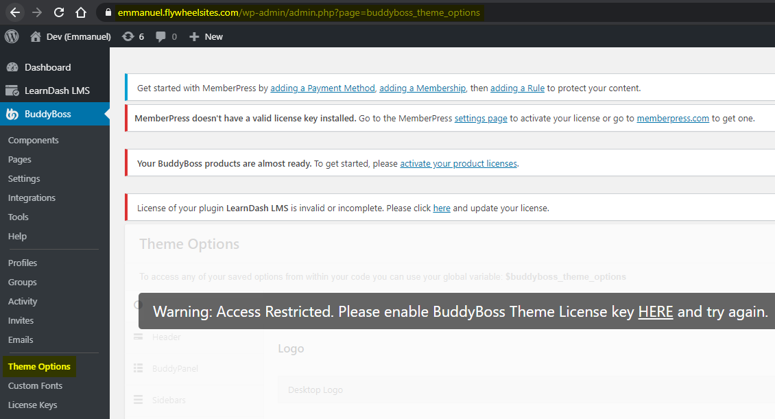 BuddyBoss Theme options on a live production site without an activated license