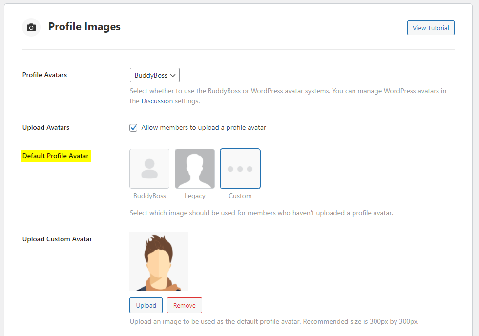 How to Show Authors Profile Picture Avatar under Post or Page of  WordPress  Technical Blog