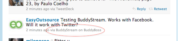 Testing BuddyStream