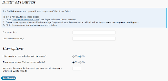 Twitter API Settings
