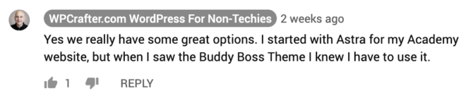 BuddyBoss Testimonial