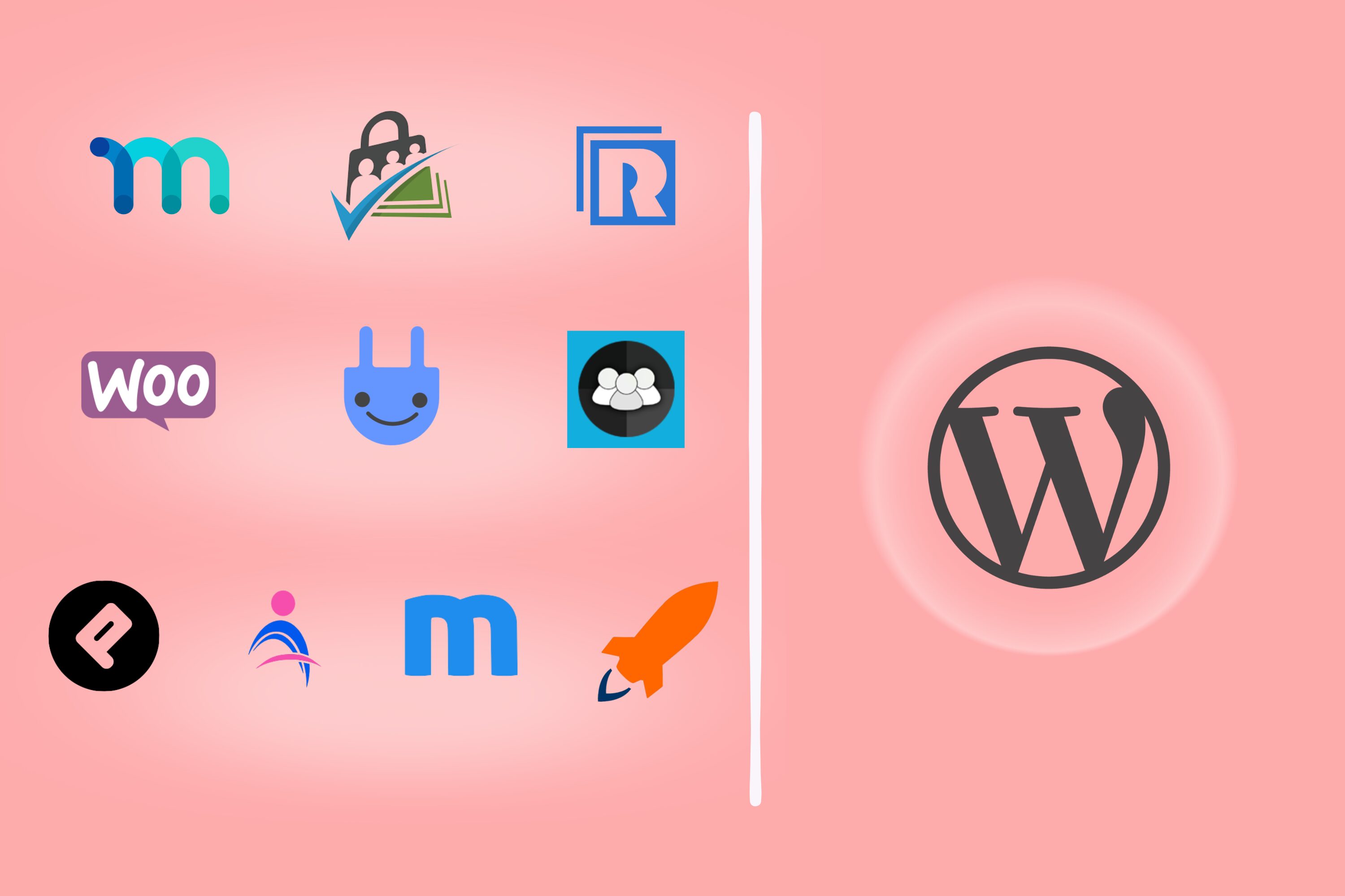 10 Best WordPress Plugins | BuddyBoss wordpress membership plugins